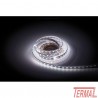Artecta, Havana Ribbon RGBW, 2400K, 24V, Led trak RGBW